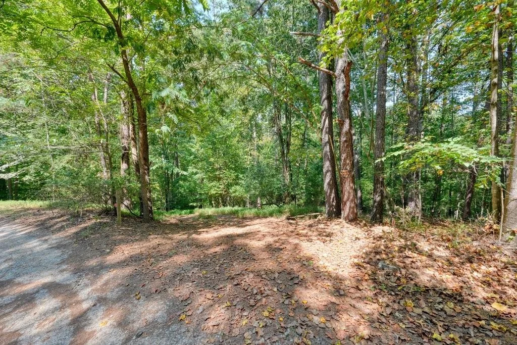 150 Waleska Woods Court, Waleska, GA, 30183
