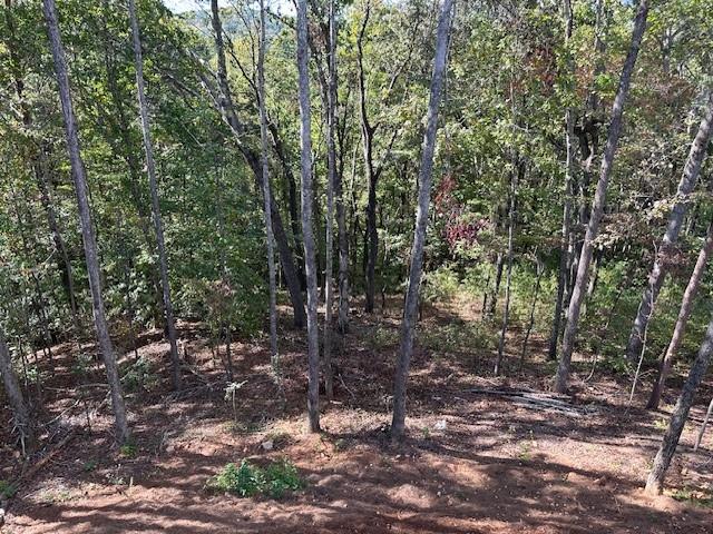 134 Rockhound Drive