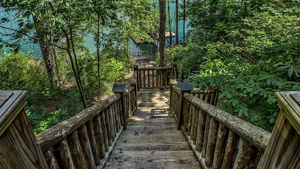 670 Magnolia Drive, Blue Ridge, Georgia image 45