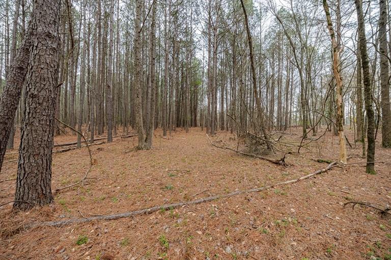 13585 Arnold Mill Road