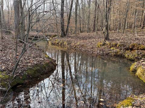 Vacant Land For Sale - Hulmes Chapel Road<br/> Elberton, GA 30635