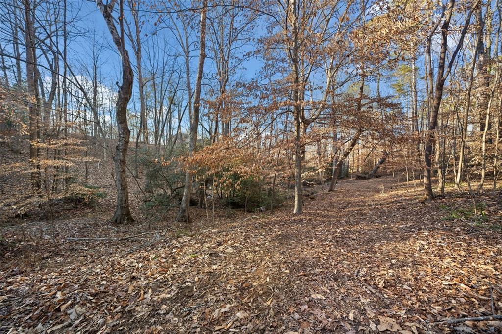 121 Harmony Oaks Trail, Canton, Georgia image 40