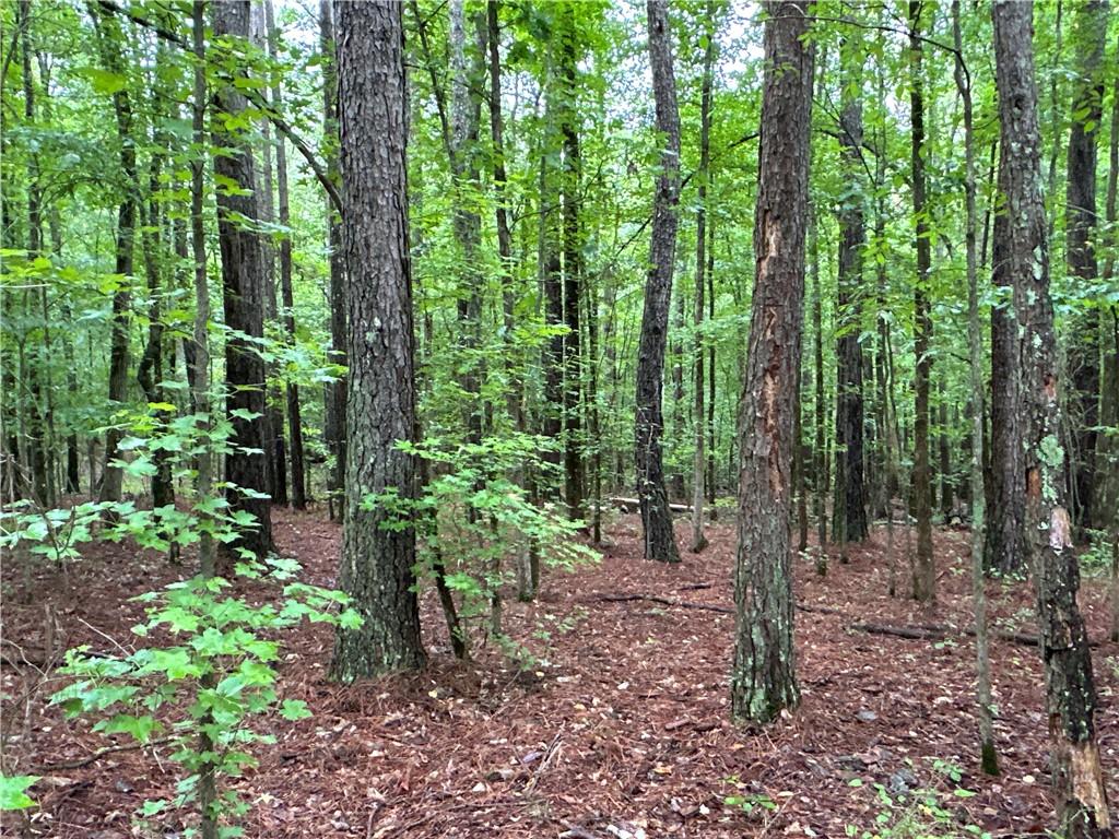 Jackson Chapel Road, Cave Spring, Georgia image 3