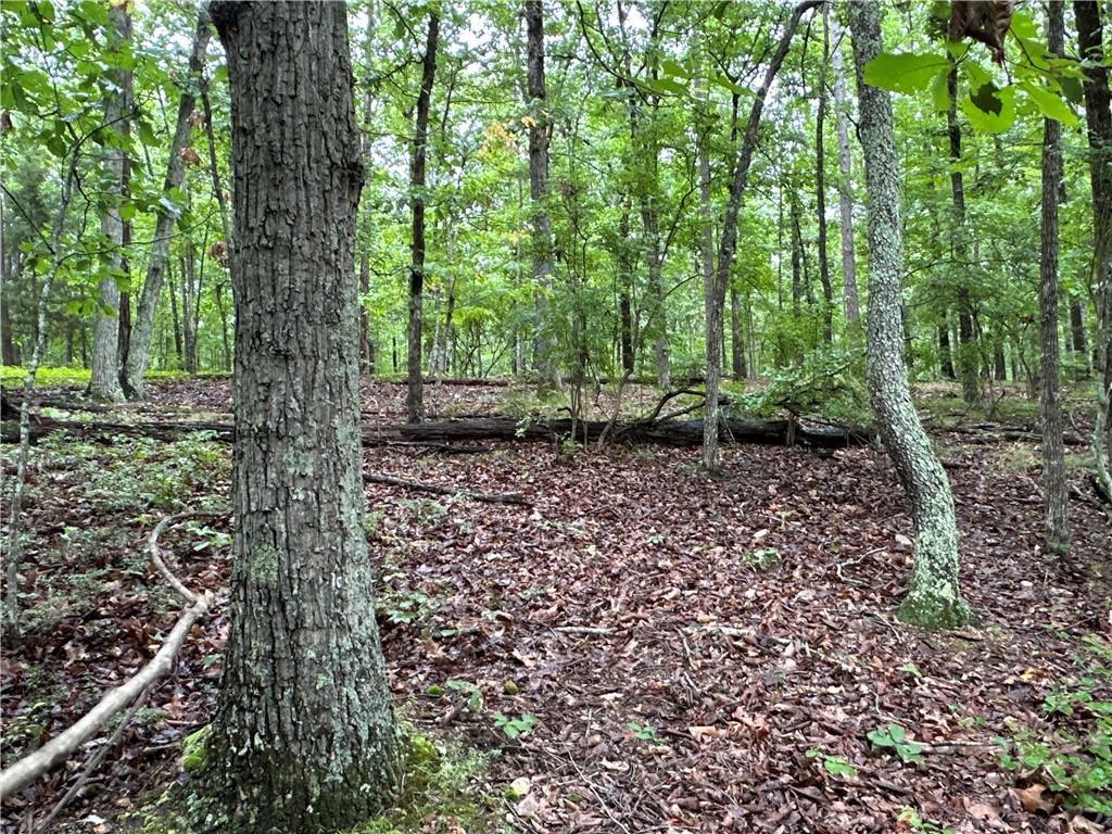 Jackson Chapel Road, Cave Spring, Georgia image 9