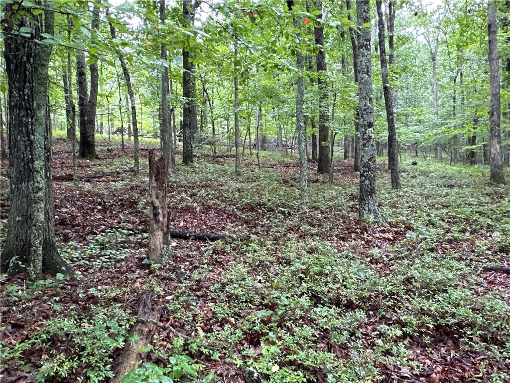 Jackson Chapel Road, Cave Spring, Georgia image 6