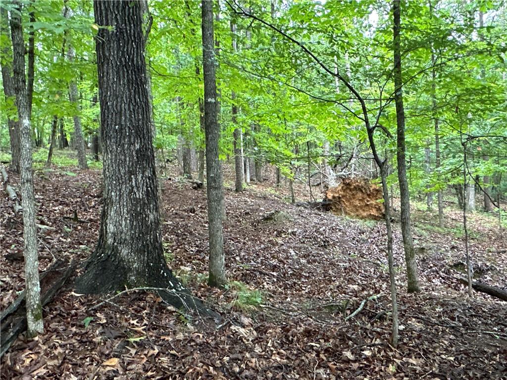 Jackson Chapel Road, Cave Spring, Georgia image 17