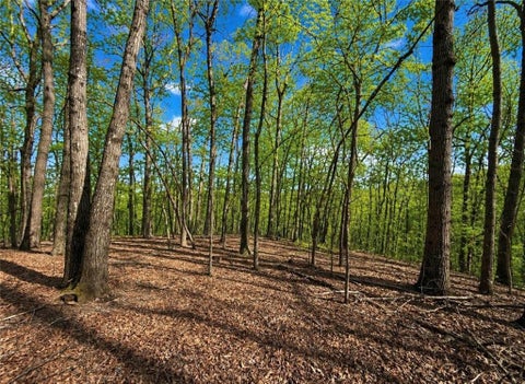 Vacant Land For Sale - Burnt Mtn Cove Road<br/> Dawson County, Jasper, GA 30143