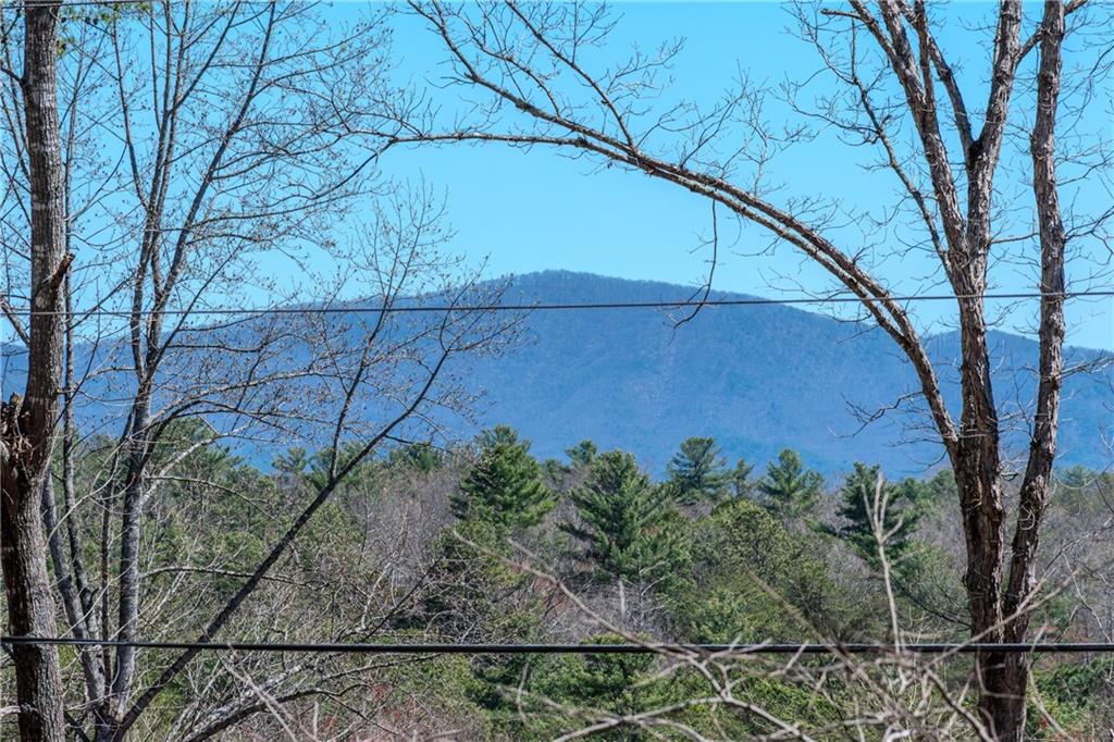 32 Muscogee Drive, Ellijay, Georgia image 12