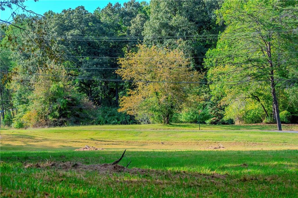 1.40 Mountain Rivers Road, Mineral Bluff, Georgia image 2