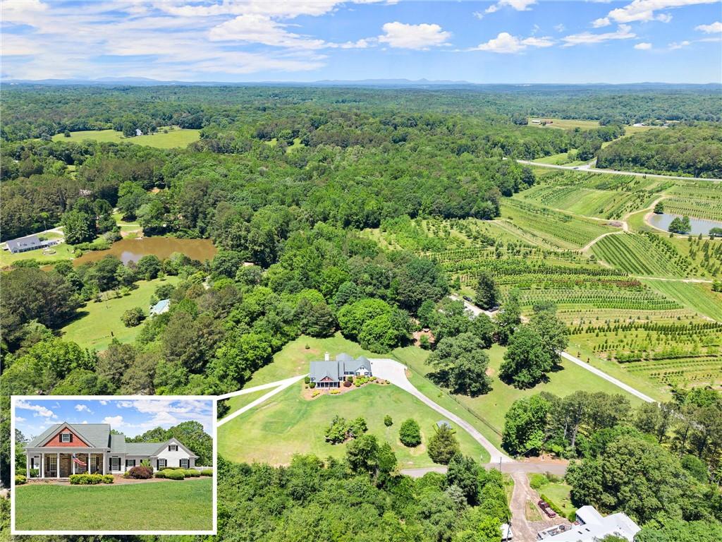 1617 Edwards Mill Road