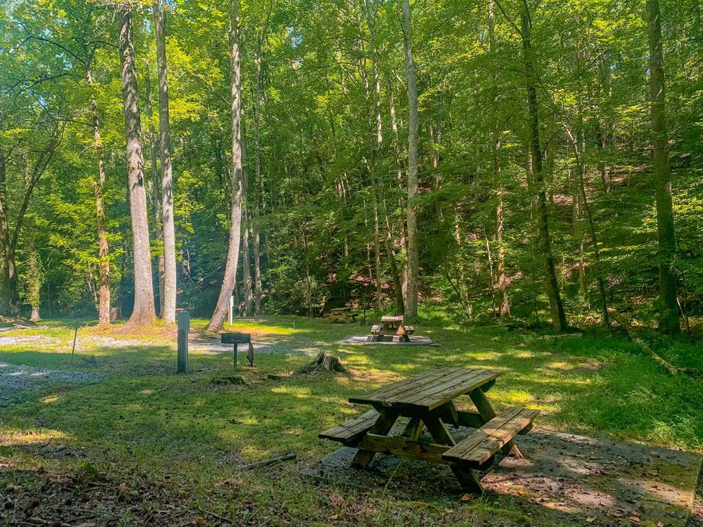 M165 Walnut Mountain, Ellijay, Georgia image 31