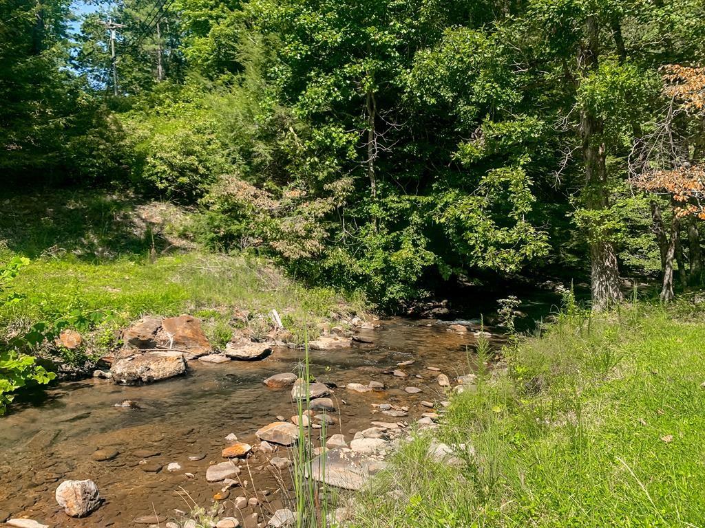 M165 Walnut Mountain, Ellijay, Georgia image 30