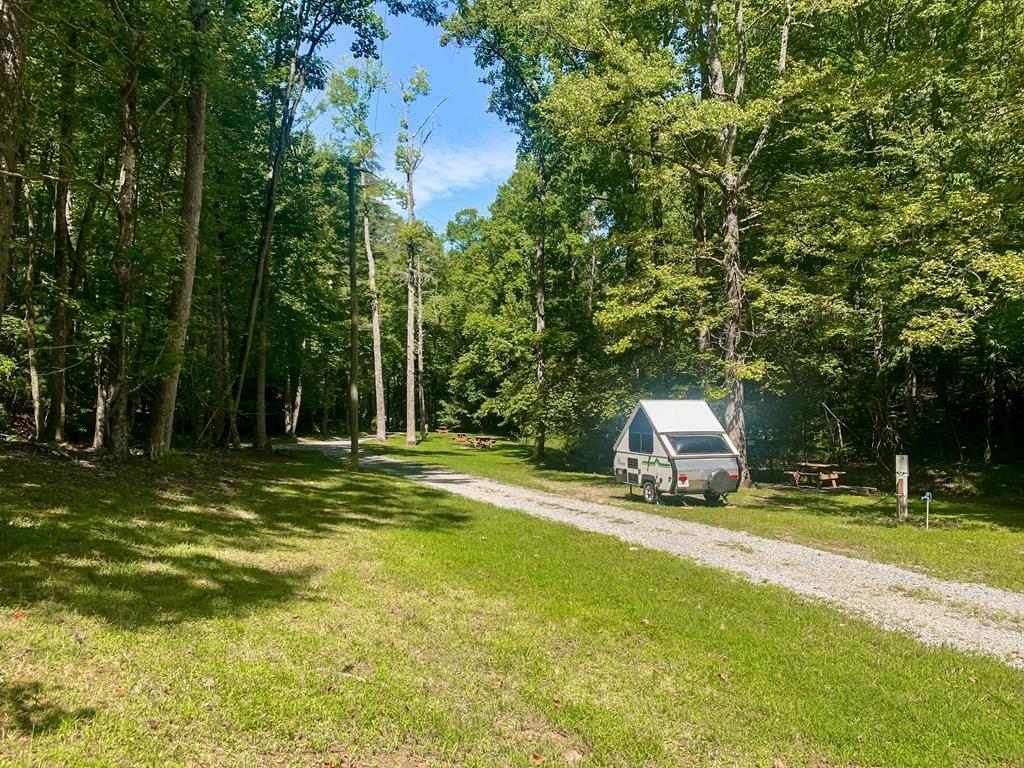 M165 Walnut Mountain, Ellijay, Georgia image 28