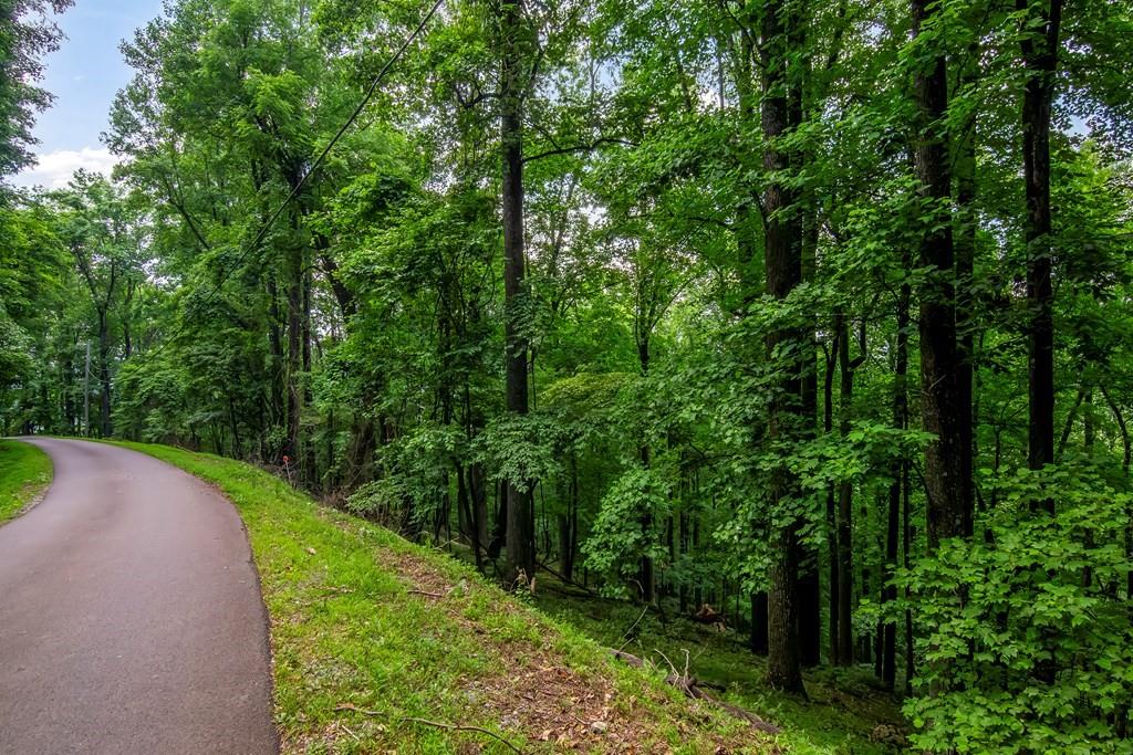 M165 Walnut Mountain, Ellijay, Georgia image 13