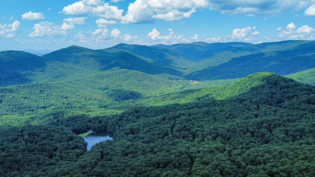 M165 Walnut Mountain, Ellijay, Georgia image 3