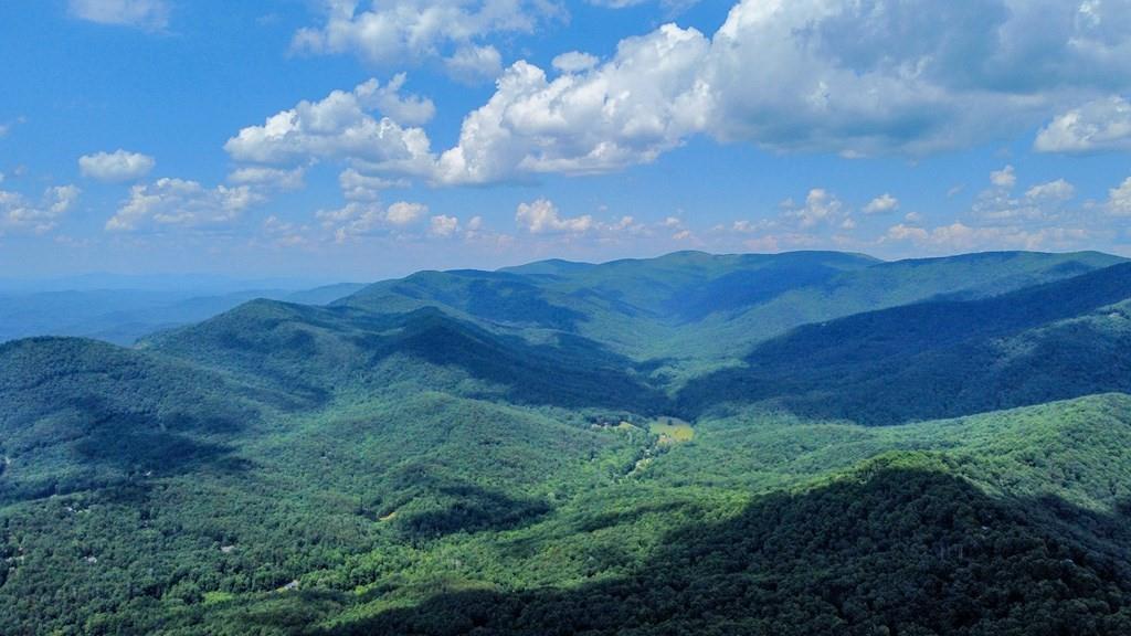 M165 Walnut Mountain, Ellijay, Georgia image 6