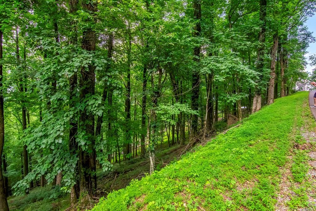 M165 Walnut Mountain, Ellijay, Georgia image 12
