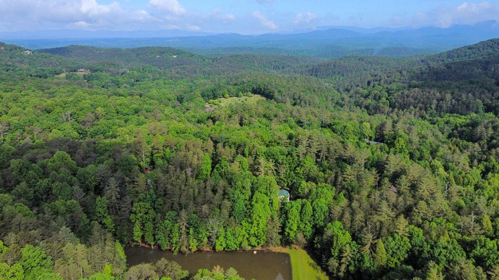 M165 Walnut Mountain, Ellijay, Georgia image 35