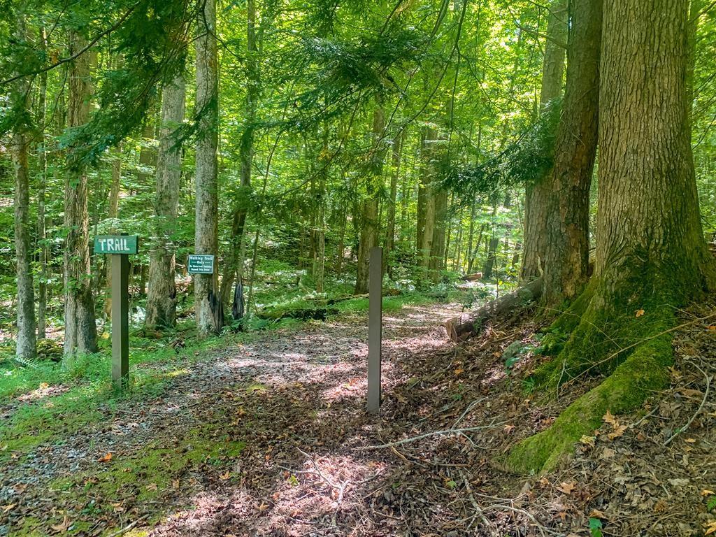 M165 Walnut Mountain, Ellijay, Georgia image 32