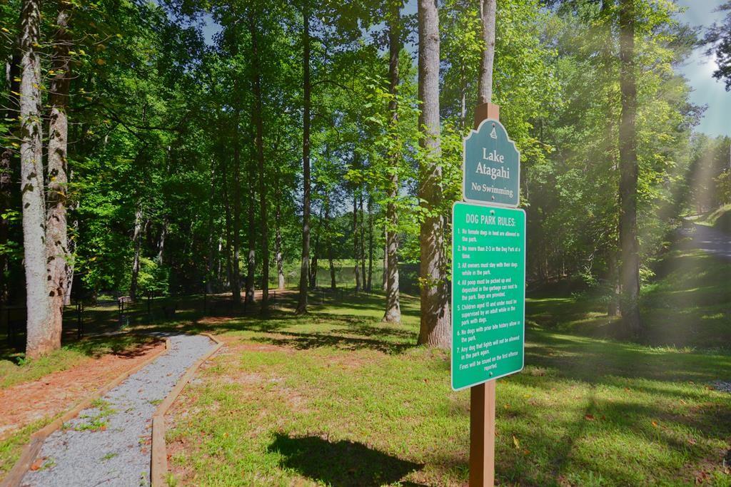 M165 Walnut Mountain, Ellijay, Georgia image 22