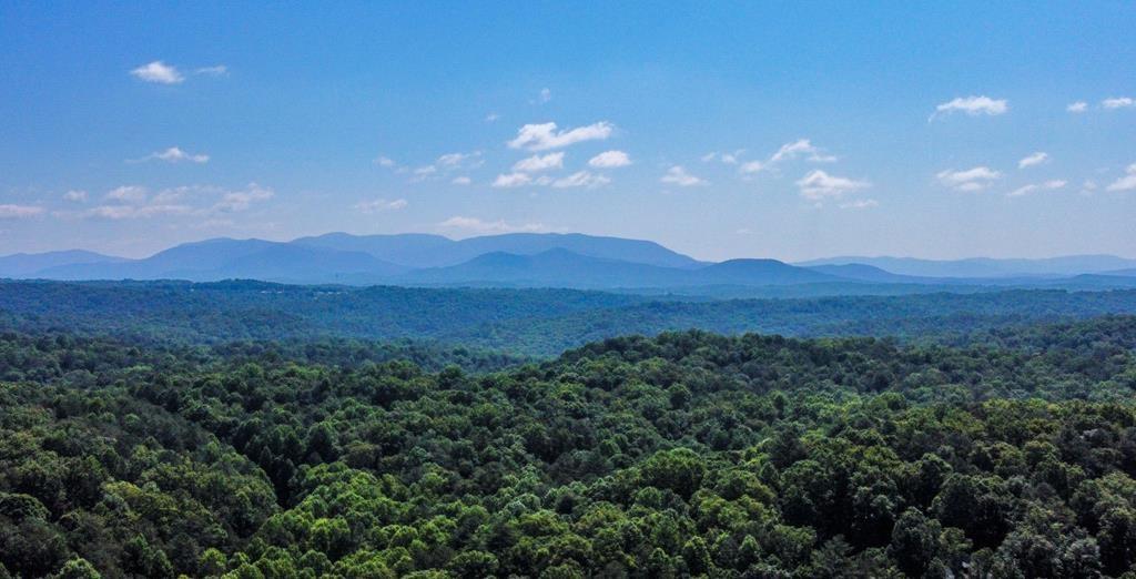 M165 Walnut Mountain, Ellijay, Georgia image 37
