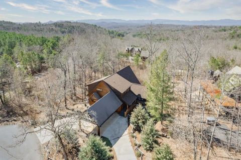 A home in Mineral Bluff