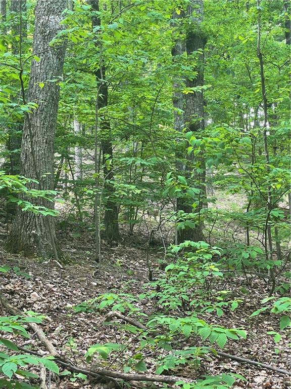 1225 Oglethorpe Road