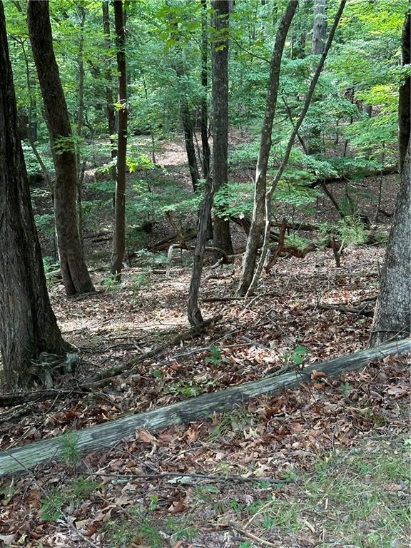 1225 Oglethorpe Road