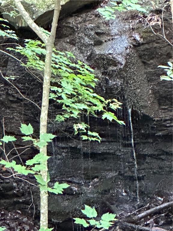 1225 Oglethorpe Road