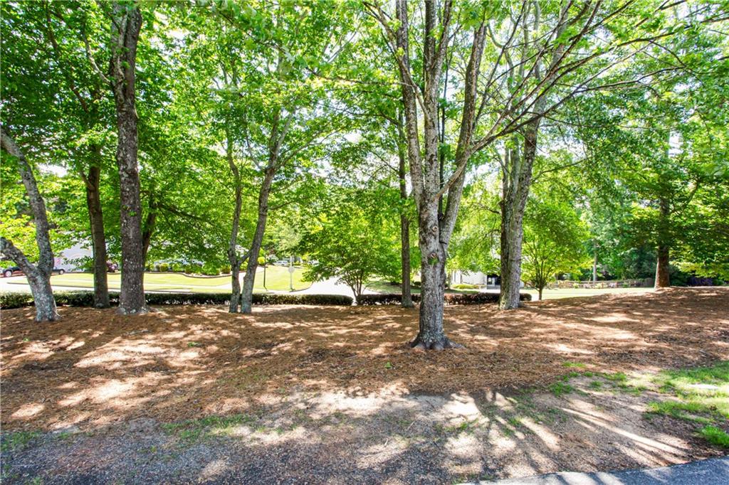 6505 Hampton Creek Drive, Cumming, Georgia image 5