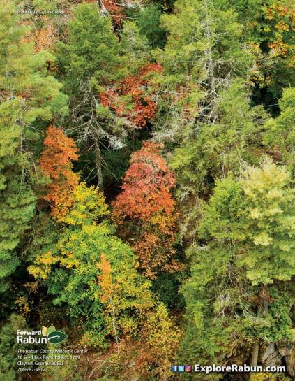 LOT 29 Raven Ridge Road