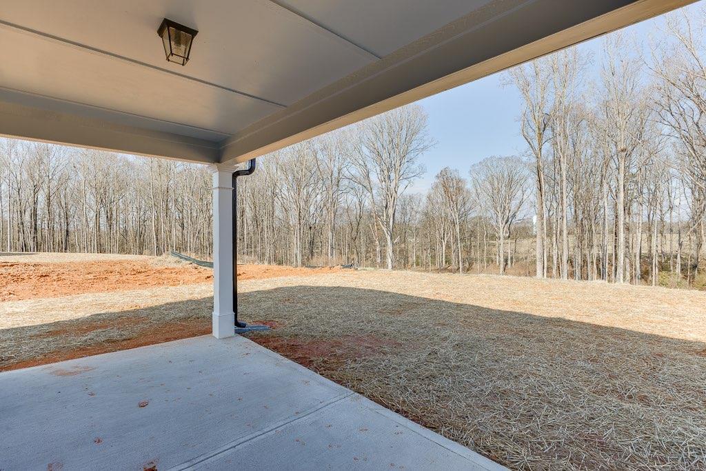 228 Franklin Hills Drive, Carnesville, Georgia image 30
