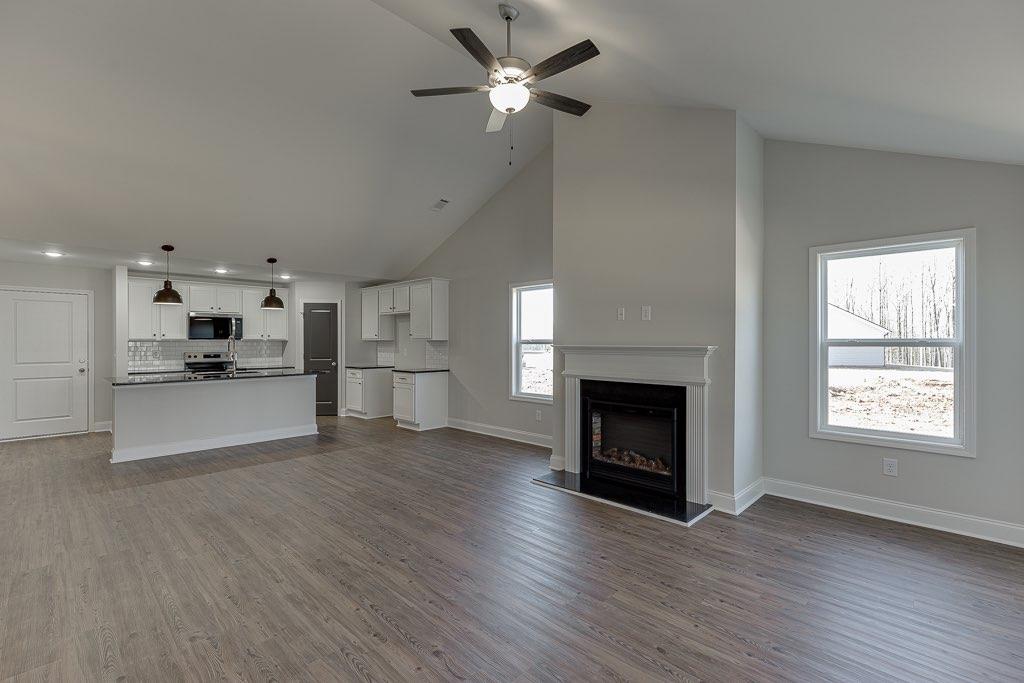 228 Franklin Hills Drive, Carnesville, Georgia image 18