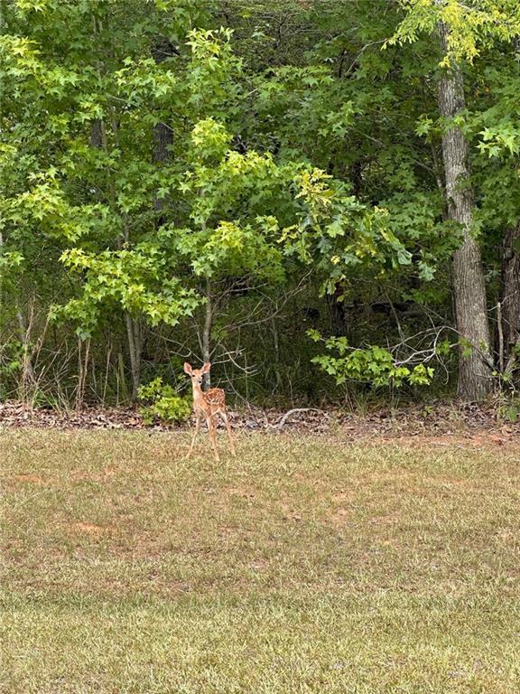 South Point Drive, Lincolnton, Georgia image 4