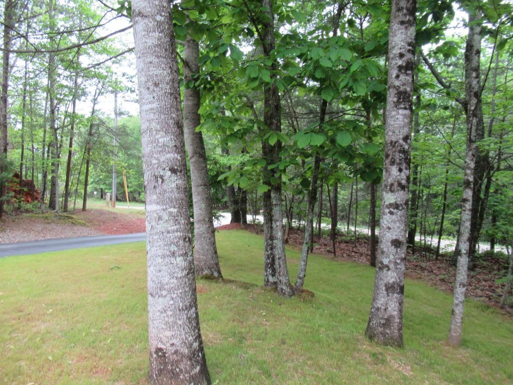 48 Narrow Lane, Dahlonega, Georgia image 10