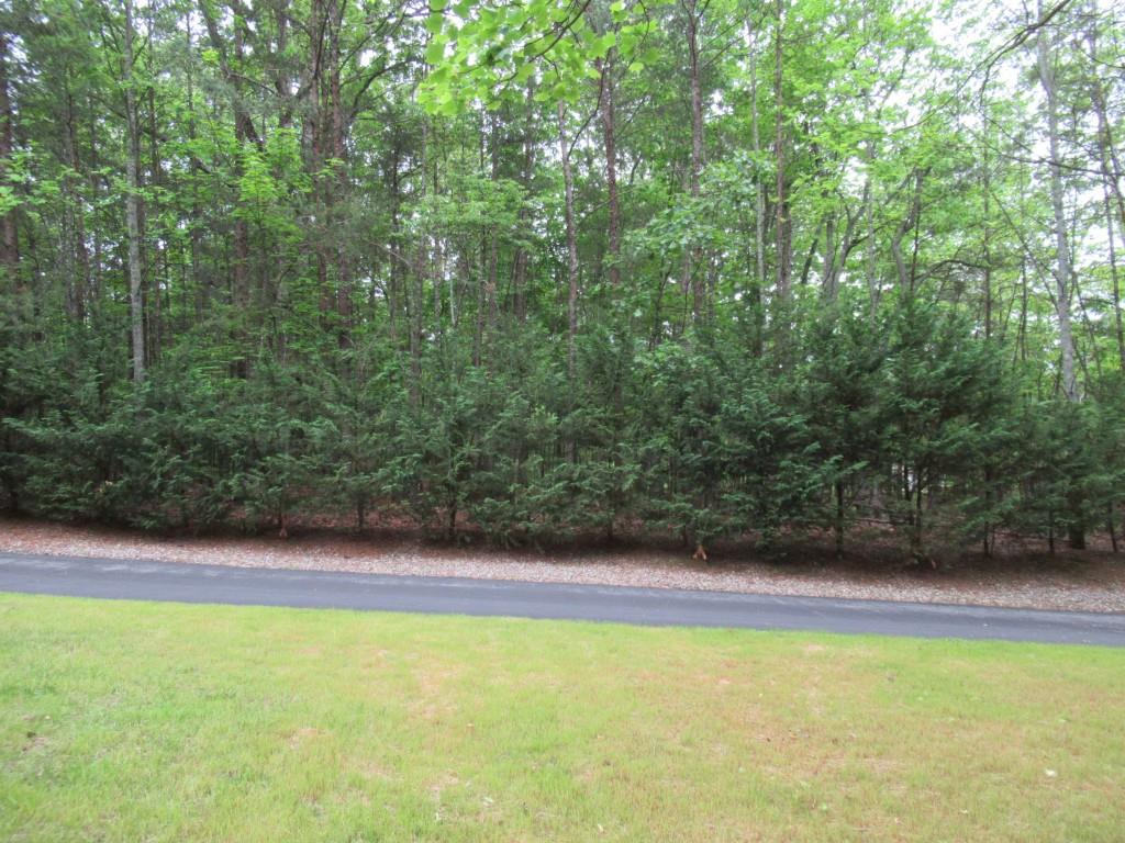 48 Narrow Lane, Dahlonega, Georgia image 12