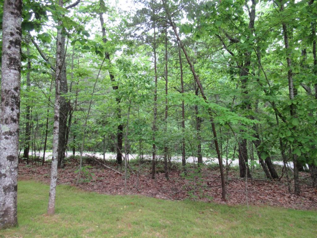 48 Narrow Lane, Dahlonega, Georgia image 8