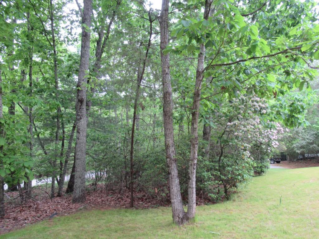 48 Narrow Lane, Dahlonega, Georgia image 6