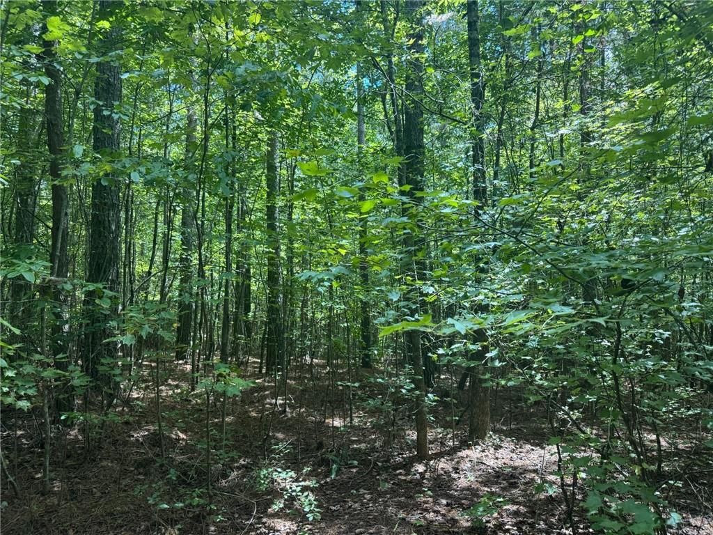 Acreage is perfect for an private estate home, farm or family compound. Land is mostly flat and ready for your vision. Perfect to clear for a pasture or gardens. It offers both seclusion and accessibility — a unique rare find in North Georgia.