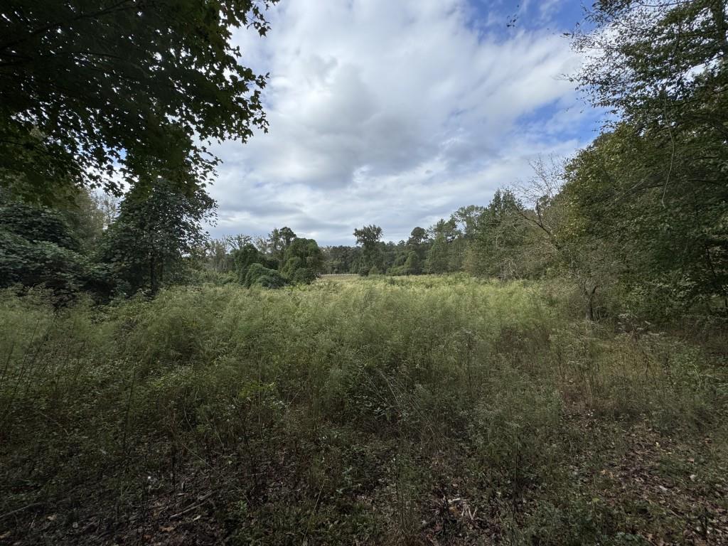 410 Alcovy Way