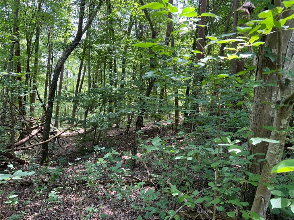 Build your dream home on this beautiful corner lot in Lavender Mountain Estates! Probable valley view with vista trimming. Gently sloping near the road, steeper slope the farther in you go. Private and quiet. Close to Berry College, the Big Texas Valley area, Rocky Mountain Recreation Area, 16 minutes from Advent Health Redmond Hospital. Twenty minutes from downtown Rome and all the dining, shopping, and entertainment Rome is known for. Two sides of the lot are bordered by drainage culverts filled with rocks. These will create rushing streams during rain.