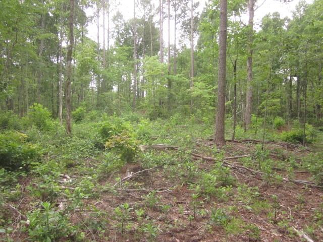 Bear Creek Road, Talking Rock, Georgia image 35