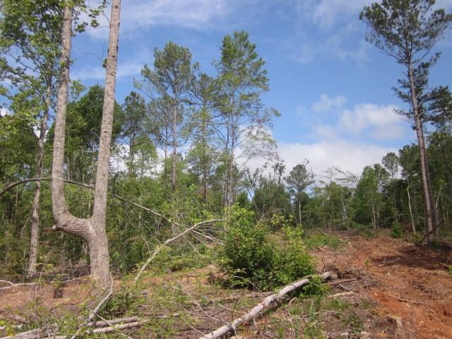 Bear Creek Road, Talking Rock, Georgia image 25
