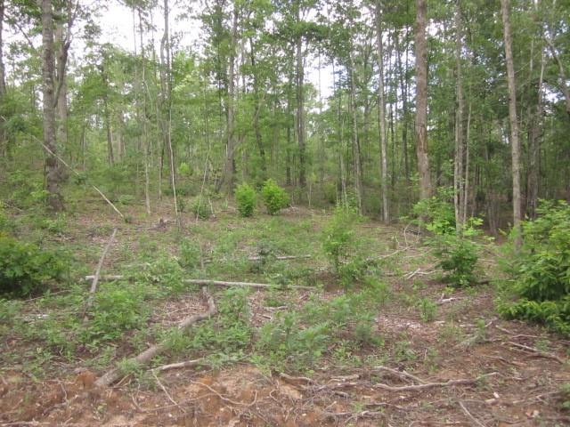 Bear Creek Road, Talking Rock, Georgia image 39