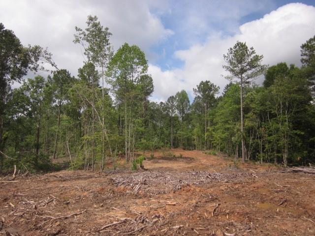 Bear Creek Road, Talking Rock, Georgia image 32
