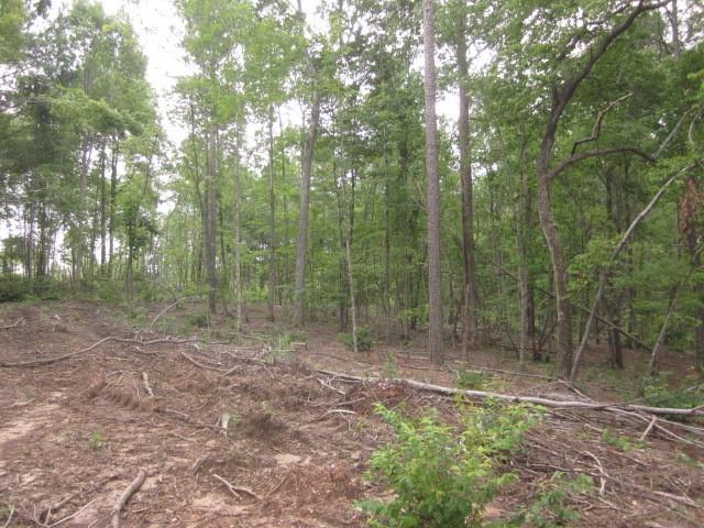 Bear Creek Road, Talking Rock, Georgia image 43