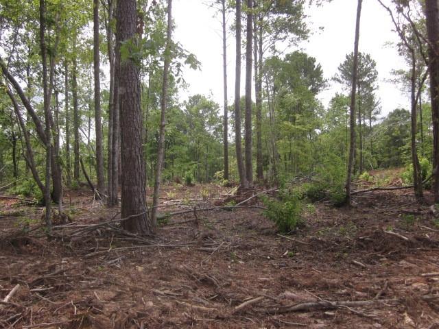 Bear Creek Road, Talking Rock, Georgia image 50