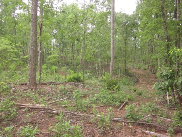 Bear Creek Road, Talking Rock, Georgia image 36