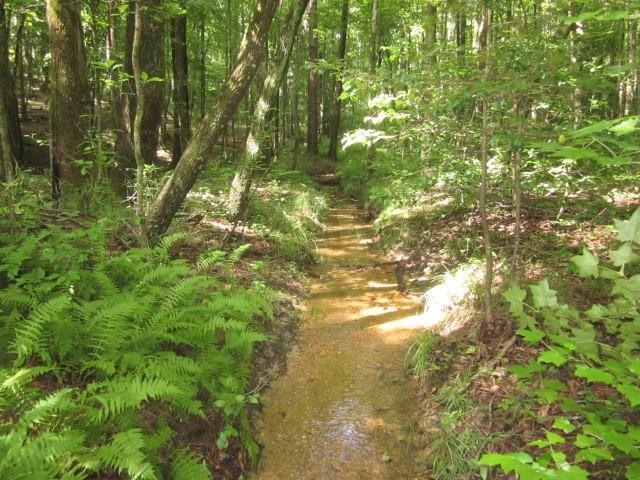Bear Creek Road, Talking Rock, Georgia image 14