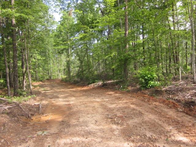 Bear Creek Road, Talking Rock, Georgia image 12